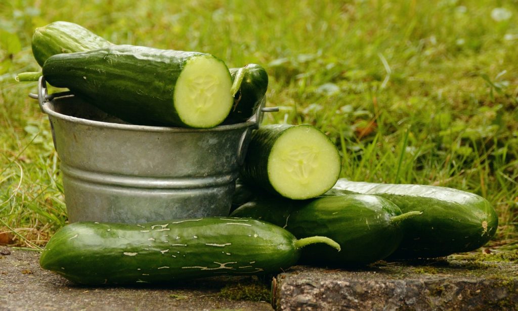 Cucumbers is a must for your weight loss grocery list because of how low calorie it is
